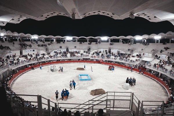 Comment monter un vélo cargo : conseils et astuces